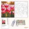 Harmatfényű tulipánok - számfestő készlet - Számfestő.hu - 50×60cm - Keretre feszítve