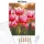 Harmatfényű tulipánok - számfestő készlet - Számfestő.hu - 60×70cm - Keretre feszítve