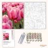 Harmatcseppes tulipánok - számfestő készlet - Számfestő.hu - 80×100cm - Keretre feszítve