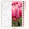 Harmatcseppes tulipánok - számfestő készlet - Számfestő.hu - 40×50cm - Keretre feszítve