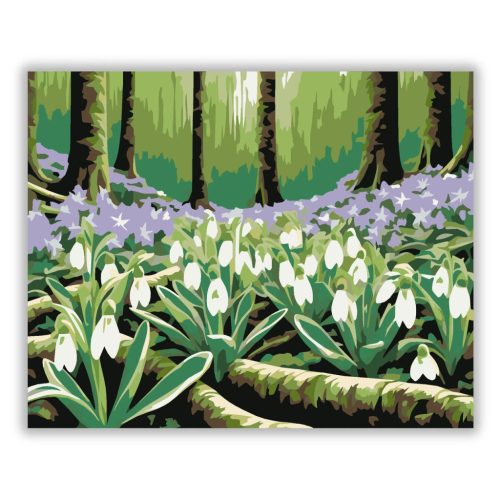 Üde hóvirágos tisztás - számfestő készlet - Számfestő.hu - 50×60cm - Keret nélkül