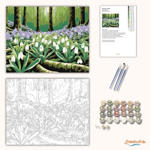 Üde hóvirágos tisztás - számfestő készlet - Számfestő.hu - 60×70cm - Keret nélkül