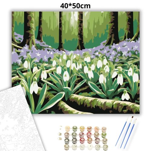 Üde hóvirágos tisztás - számfestő készlet - Számfestő.hu - 40×50cm - Keretre feszítve