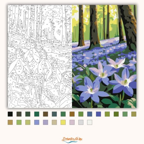 Csendes ibolyaszőnyeg - számfestő készlet - Számfestő.hu - 40×50cm - Keret nélkül