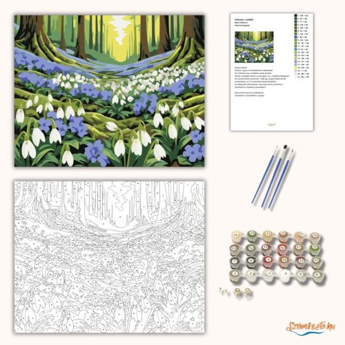 Erdei hóvirágmező - számfestő készlet - Számfestő.hu - 50×60cm - Keret nélkül