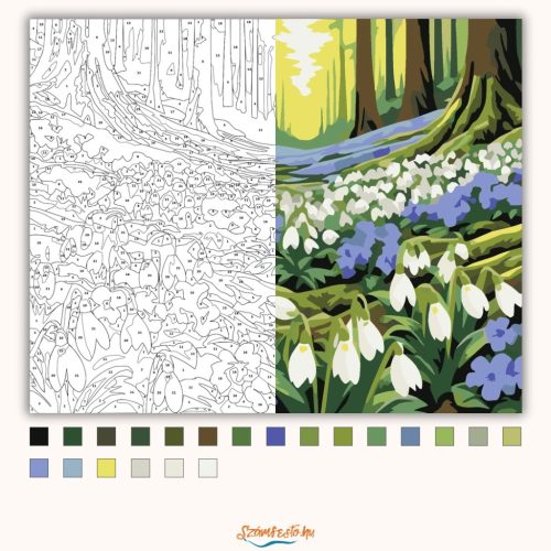 Erdei hóvirágmező - számfestő készlet - Számfestő.hu - 60×70cm - Keretre feszítve