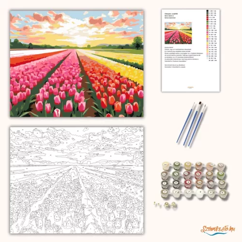 Színes tulipánmező - számfestő készlet - Számfestő.hu - 50×60cm - Keretre feszítve