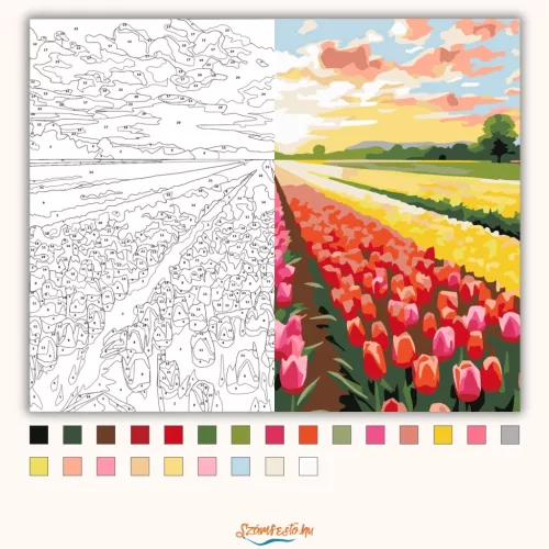 Színes tulipánmező - számfestő készlet - Számfestő.hu - 60×70cm - Keretre feszítve