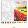 Színes tulipánmező - számfestő készlet - Számfestő.hu - 80×100cm - Keretre feszítve