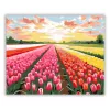 Színes tulipánmező - számfestő készlet - Számfestő.hu - 40×50cm - Keretre feszítve