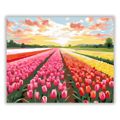 Színes tulipánmező - számfestő készlet - Számfestő.hu - 40×50cm - Keretre feszítve