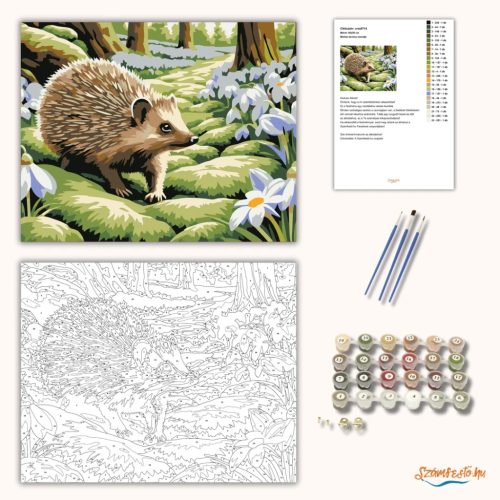 Mohás ösvény csendje - számfestő készlet - Számfestő.hu - 50×60cm - Keret nélkül