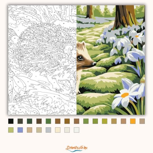 Mohás ösvény csendje - számfestő készlet - Számfestő.hu - 60×70cm - Keret nélkül