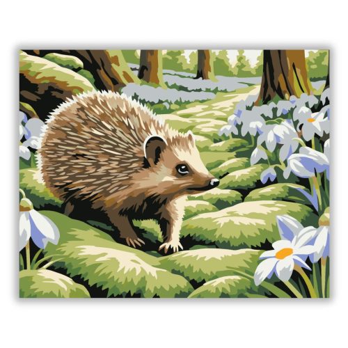 Mohás ösvény csendje - számfestő készlet - Számfestő.hu - 40×50cm - Keret nélkül