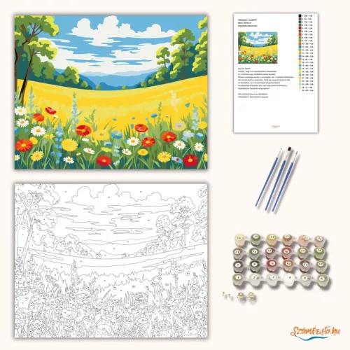 Napsütötte pipacsmező - számfestő készlet - Számfestő.hu - 60×70cm - Keretre feszítve