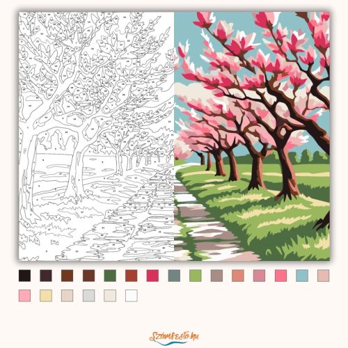 Tavaszi magnóliaösvény - számfestő készlet - Számfestő.hu - 50×60cm - Keretre feszítve