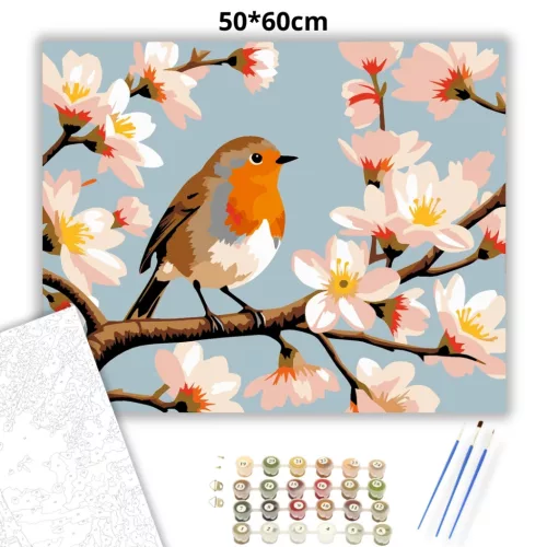 Tavaszi vörösbegy - számfestő készlet - Számfestő.hu - 50×60cm - Keretre feszítve