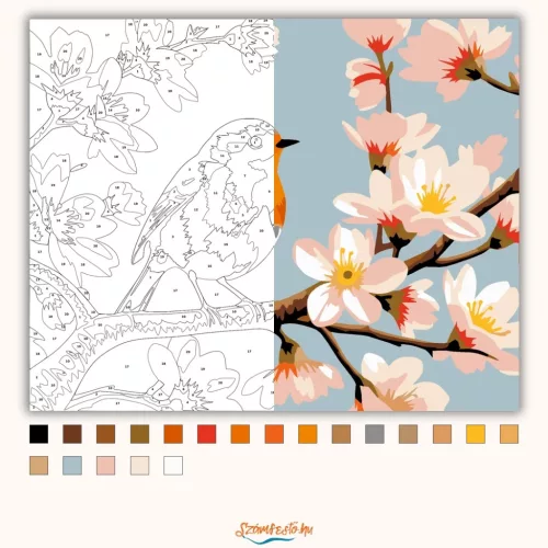 Tavaszi vörösbegy - számfestő készlet - Számfestő.hu - 60×70cm - Keret nélkül