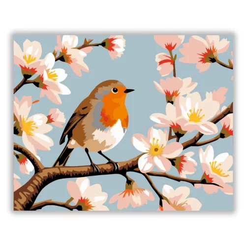 Tavaszi vörösbegy - számfestő készlet - Számfestő.hu - 60×70cm - Keretre feszítve