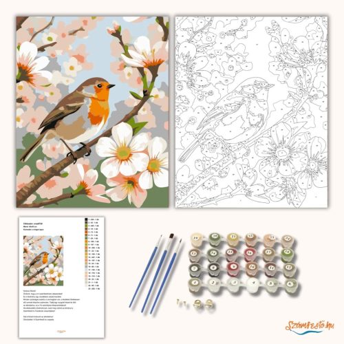 Kismadár a virágzó ágon - számfestő készlet - Számfestő.hu - 40×50cm - Keret nélkül