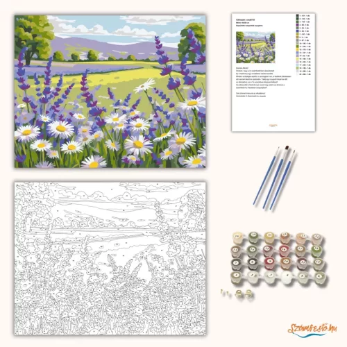 Napsütötte margaréták nyugalma - számfestő készlet - Számfestő.hu - 60×70cm - Keret nélkül