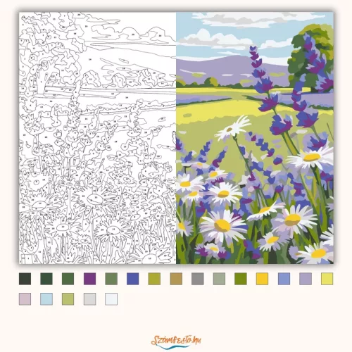 Napsütötte margaréták nyugalma - számfestő készlet - Számfestő.hu - 60×70cm - Keret nélkül