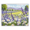 Napsütötte margaréták nyugalma - számfestő készlet - Számfestő.hu - 60×70cm - Keret nélkül