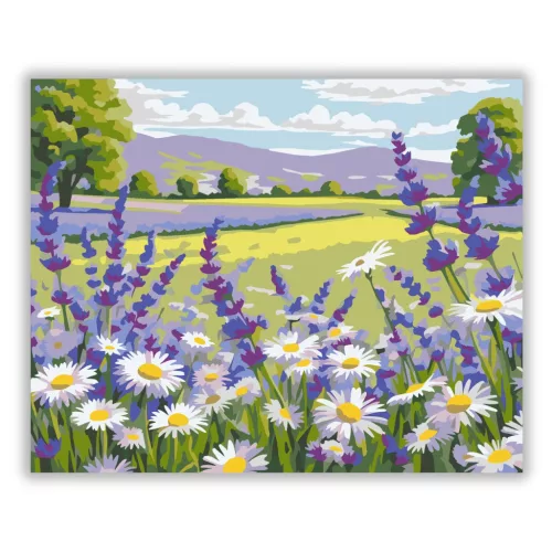 Napsütötte margaréták nyugalma - számfestő készlet - Számfestő.hu - 80×100cm - Keret nélkül