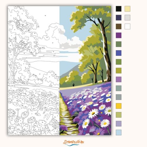 Tavaszi levendulás ösvény - számfestő készlet - Számfestő.hu - 50×60cm - Keretre feszítve