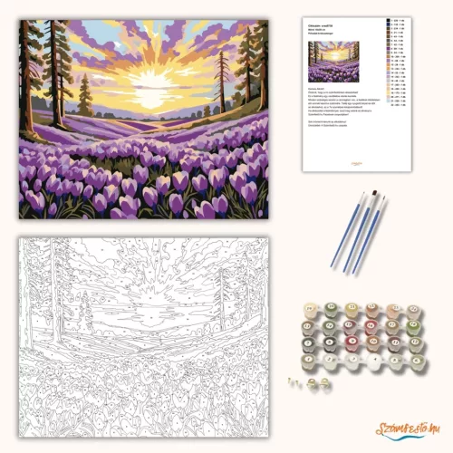 Pirkadati krókusztenger - számfestő készlet - Számfestő.hu - 50×60cm - Keret nélkül