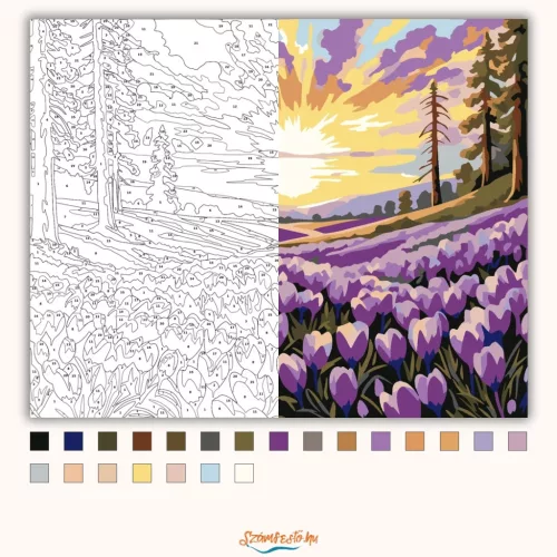 Pirkadati krókusztenger - számfestő készlet - Számfestő.hu - 60×70cm - Keretre feszítve