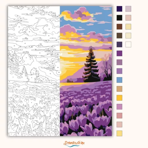 Aranyló napfelkelte - számfestő készlet - Számfestő.hu - 40×50cm - Keretre feszítve