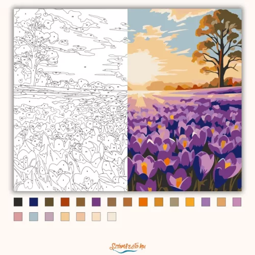 Hajnali virágtenger - számfestő készlet - Számfestő.hu - 40×50cm - Keretre feszítve