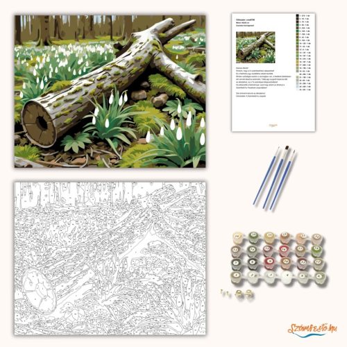 Csendes hóvirágmező - számfestő készlet - Számfestő.hu - 60×70cm - Keret nélkül