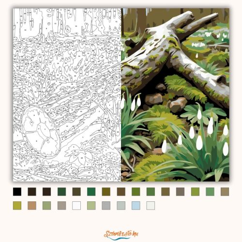 Csendes hóvirágmező - számfestő készlet - Számfestő.hu - 60×70cm - Keret nélkül