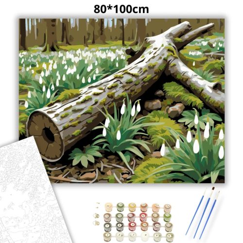 Csendes hóvirágmező - számfestő készlet - Számfestő.hu - 80×100cm - Keretre feszítve