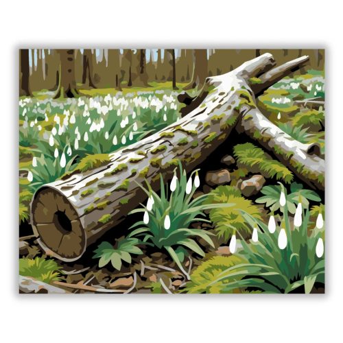 Csendes hóvirágmező - számfestő készlet - Számfestő.hu - 40×50cm - Keretre feszítve