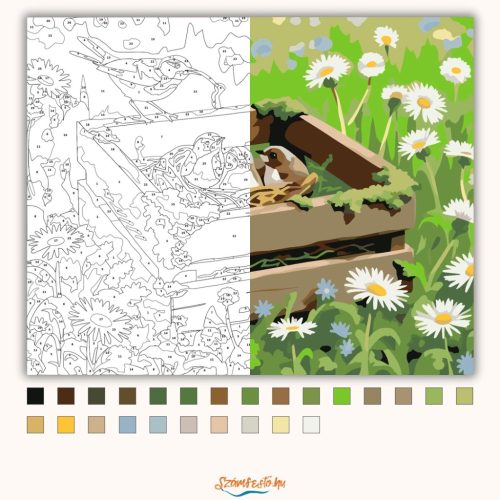 Fészeknyi madárka - számfestő készlet - Számfestő.hu - 50×60cm - Keretre feszítve