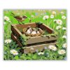 Fészeknyi madárka - számfestő készlet - Számfestő.hu - 50×60cm - Keretre feszítve