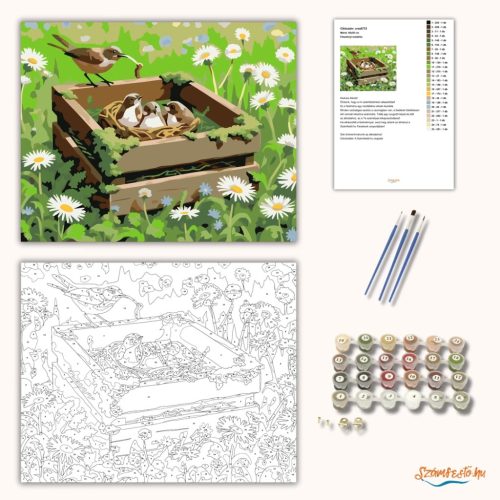Fészeknyi madárka - számfestő készlet - Számfestő.hu - 60×70cm - Keret nélkül