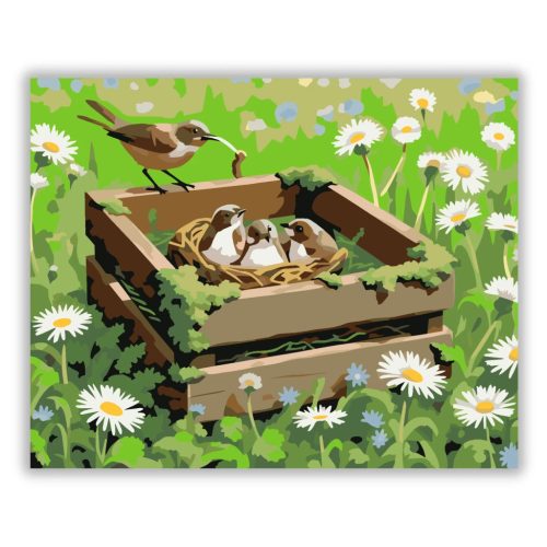 Fészeknyi madárka - számfestő készlet - Számfestő.hu - 60×70cm - Keretre feszítve