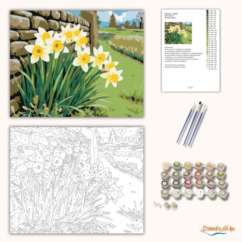 Nárciszok a kőfalnál - számfestő készlet - Számfestő.hu - 50×60cm - Keret nélkül