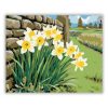 Nárciszok a kőfalnál - számfestő készlet - Számfestő.hu - 60×70cm - Keret nélkül