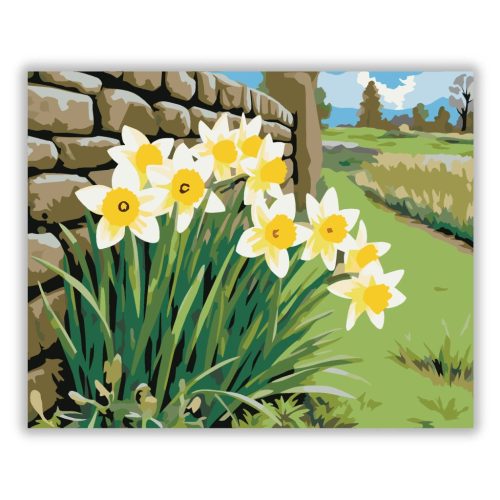 Nárciszok a kőfalnál - számfestő készlet - Számfestő.hu - 60×70cm - Keretre feszítve