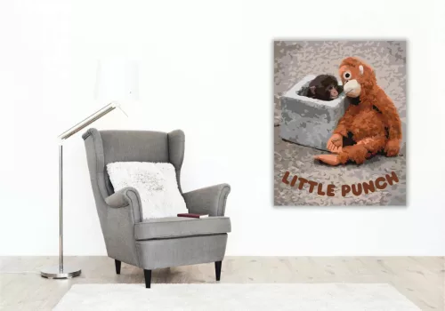 Az első pillantás – Punch és Ora-mama - számfestő készlet - Számfestő.hu - 60×70cm - Keret nélkül