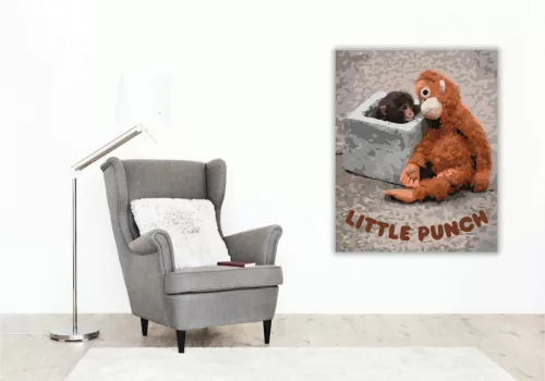 Az első pillantás - Punch és Ora-mama - számfestő készlet - Számfestő.hu - 40×50cm - Keretre feszítve