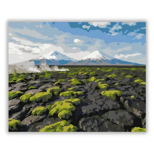 Vad mohás lávamező - számfestő készlet - Számfestő.hu - 40×50cm - Keret nélkül