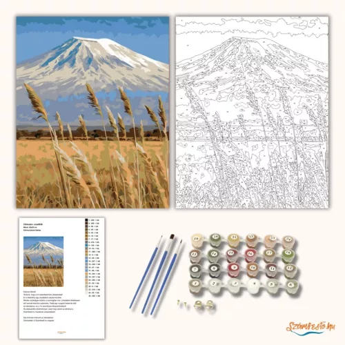 Kilimandzsáró-látkép - számfestő készlet - Számfestő.hu - 50×60cm - Keret nélkül