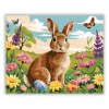 Derűs nyuszi a réten - számfestő készlet - Számfestő.hu - 50×60cm - Keretre feszítve