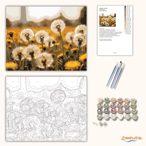 Aranyló pitypangmező - számfestő készlet - Számfestő.hu - 50×60cm - Keretre feszítve